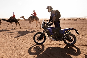 TENERE 700 WORLD RAID ARRIVING Q1 2023 Image