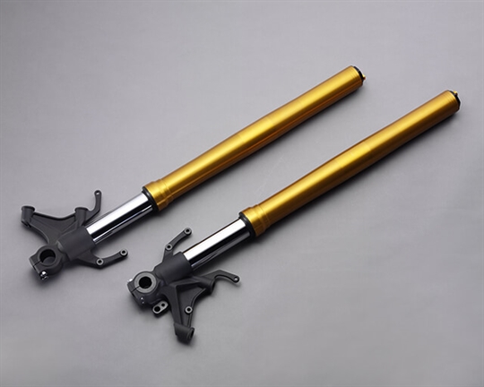 MotoGP derived suspension